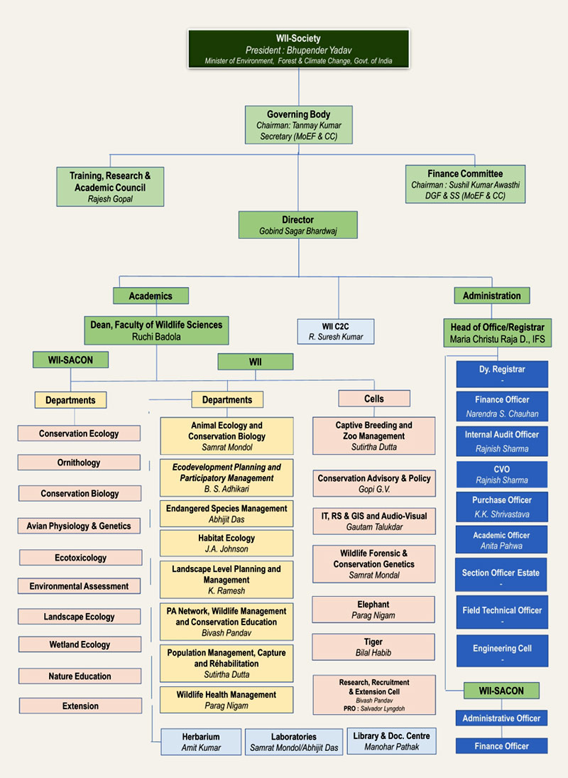 Organisation Chart Organisation Chart