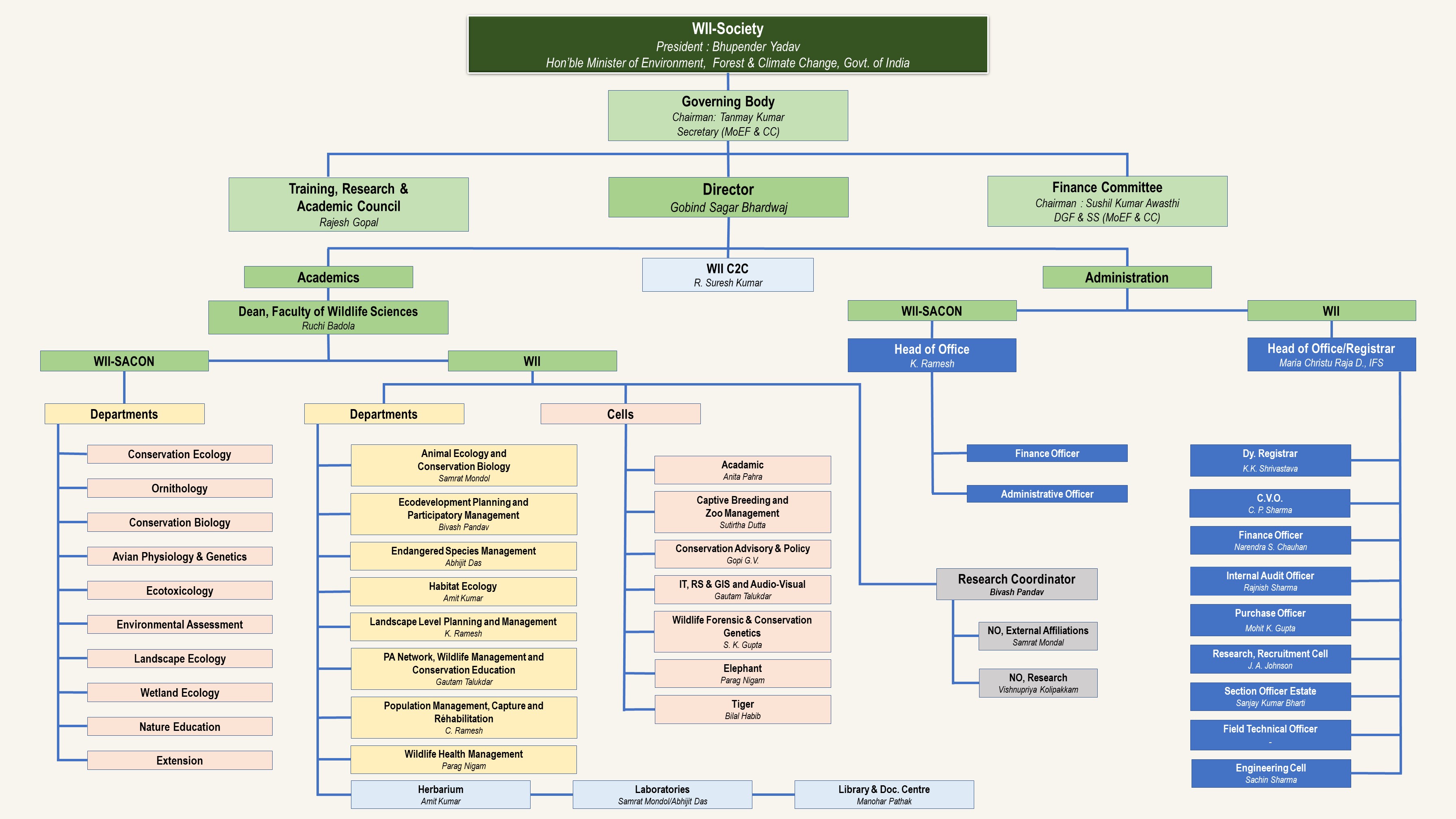 Wii Organisation Chart 2026