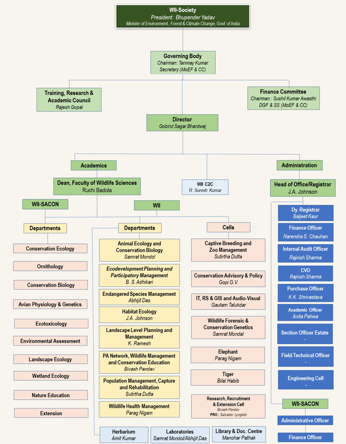 Organisation Chart Organisation Chart
