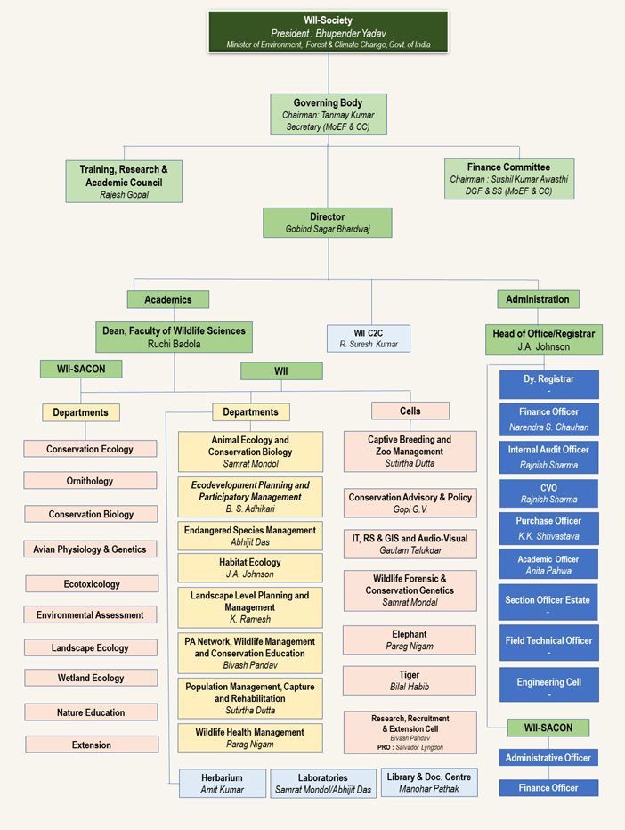 Organisation Chart Organisation Chart