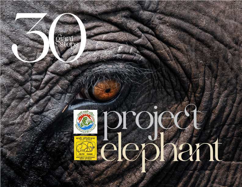 30 Giant steps of Project Elephant