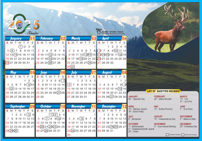 WII Calendar 2025