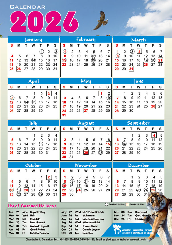WII Calendar 2026