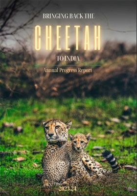 Bringing Back The Cheetah to India - Annual Progress Report (2023-2024)