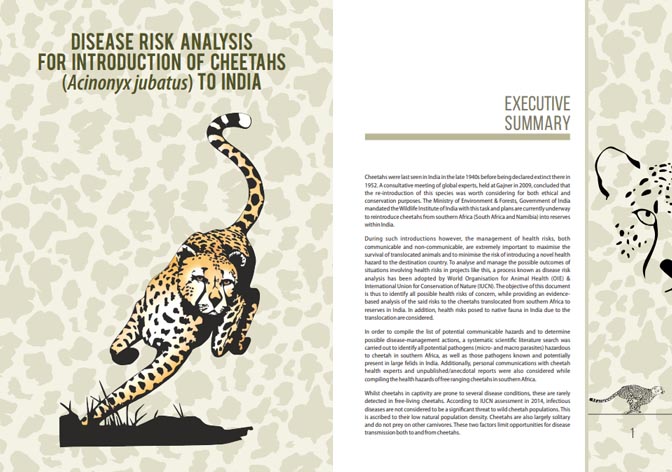Disease Risk Analysis for Introduction of Cheetahs (Acinonyx jubatus) to India