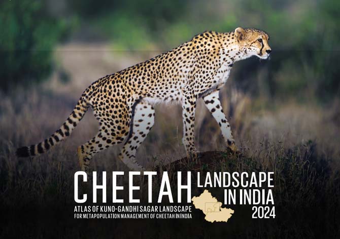 Atlas of Cheetah Landscape in India, 2024
