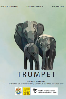 Cover page of Trumpet  Quarterly Journal  Volume – 4 Issue – 2 August - 2024