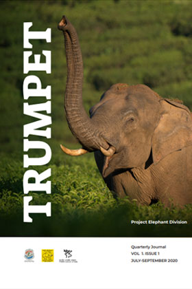 Cover page of Trumpet – Quarterly Journal – Volume – 1, Issue – 1, July – September 2020