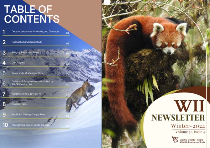 Newsletter Spring 2024