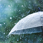 Dehradun Monsoon Days