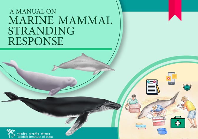 A Manual on Marine Mammal Stranding Response