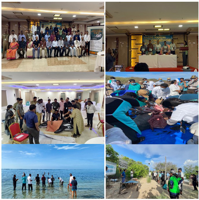 First-ever Marine mammal stranding response workshop in Tamil Nadu