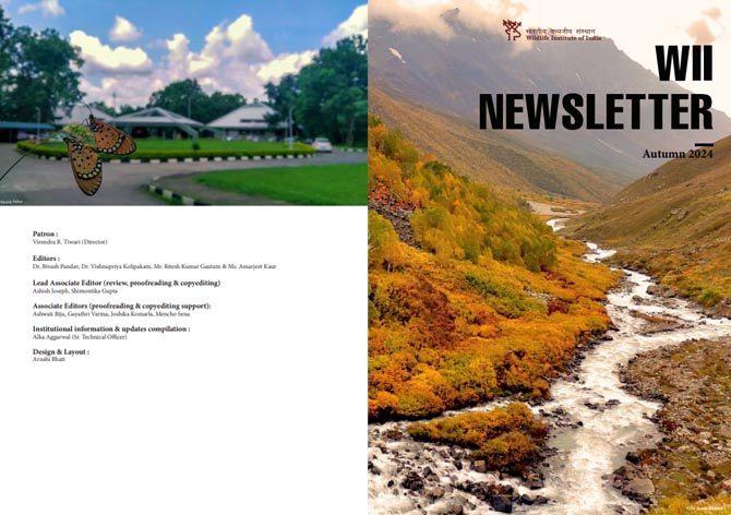 Newsletter Autumn 2024