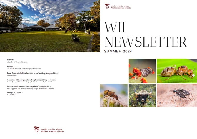 E-Newsletter (Summer 2024)