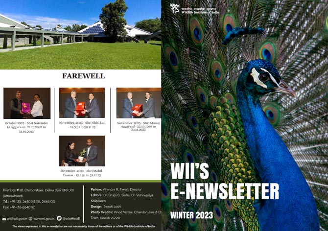 WII E-Newsletter (Winter 2023)