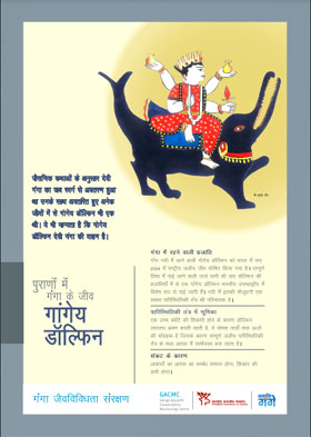 पुराणों में गंगा के जीव - गांगेय डॉलफिन पुराणों में गंगा के जीव - गांगेय डॉलफिन