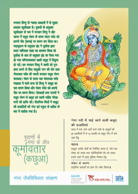 कूर्मावतार (कछुवा) कूर्मावतार (कछुवा)