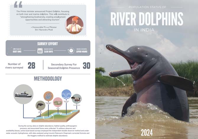 Population Status of River Dolphins in India