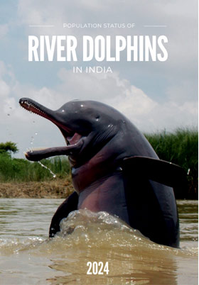 Population Status of River Dolphin in India