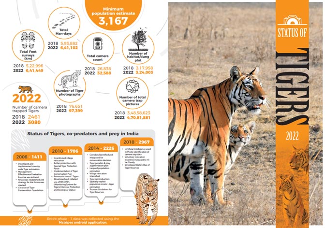 Status of Tigers in India : 2022- Summary Report