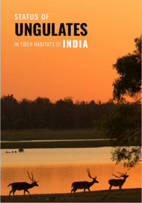 Status of Ungulates in Tiger Habitats of india