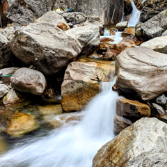M.Sc. Course in Freshwater Ecology and Conservation