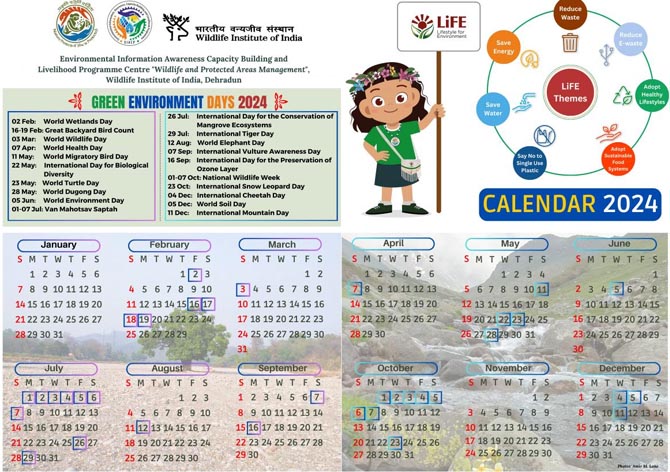 Green Calander 2024