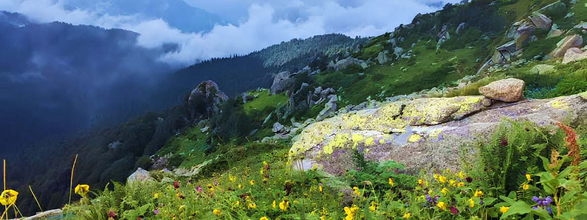 Wii Background