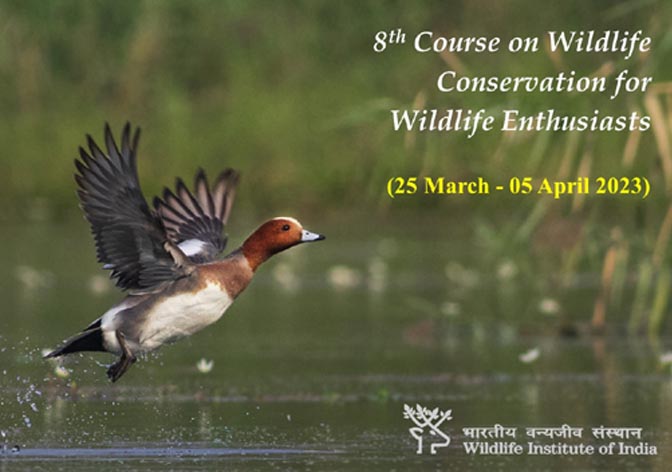 VIII Course on Wildlife Conservation for Wildlife Enthusiasts (27 March –05 April 2023)