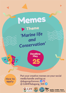 World Dugong Day 2023 Competition World Dugong Day 2023 Competition
