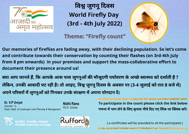 World Firefly Day 2022 (3rd – 4th July 2022) World Firefly Day 2022 (3rd – 4th July 2022)