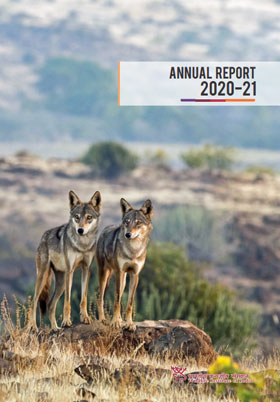 Annual Report Annual Report