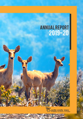 Annual Report Annual Report