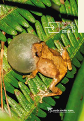 Annual Report Annual Report