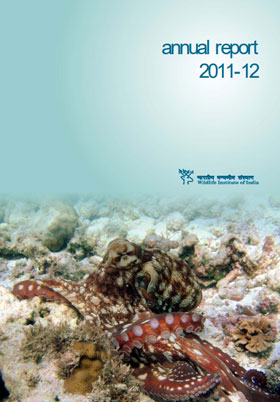 Annual Report Annual Report