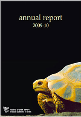 Annual Report Annual Report