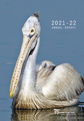 Annual Report Annual Report