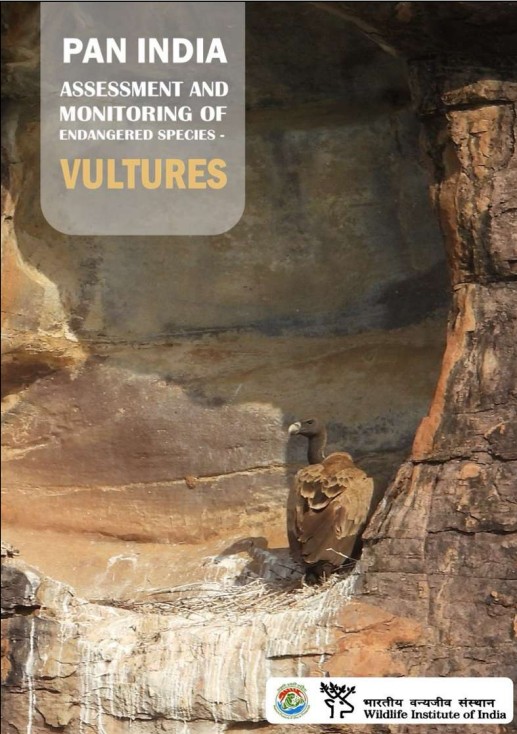 PAN India Assessment and Monitoring of Endangered Species - Vultures : Final Report 2025