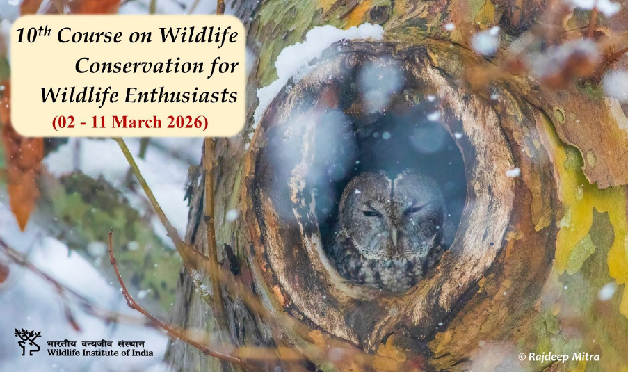 Cover Image of 10th course on Wildlife Conservation for Wildlife Enthusiasts (2-11 March, 2026)