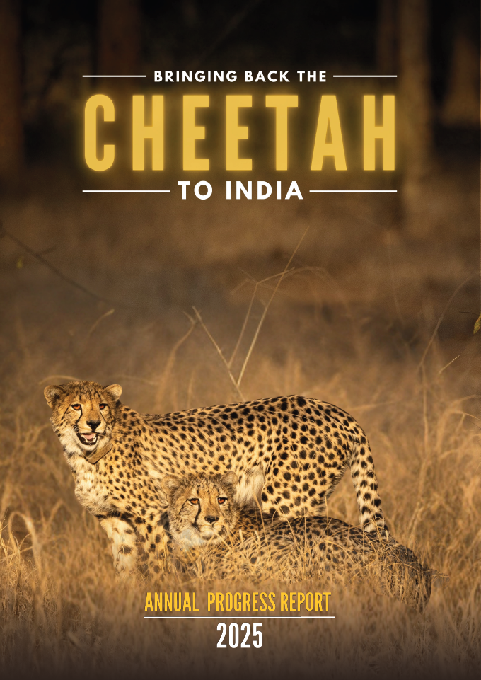 Cover Image of Bringing Back The Cheetah to India, Annual Progress Report - 2024-25