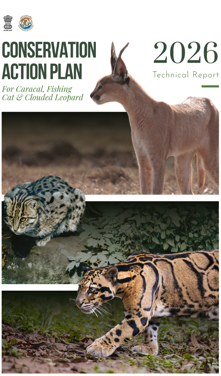 Cover Image of कैरकल, मछली पकड़ने वाली बिल्ली और क्लाउडेड तेंदुआ के लिए संरक्षण कार्य योजना (तकनीकी रिपोर्ट 2026)